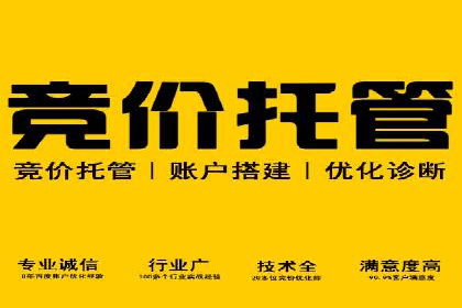 案例解析：网络推广竞价技巧