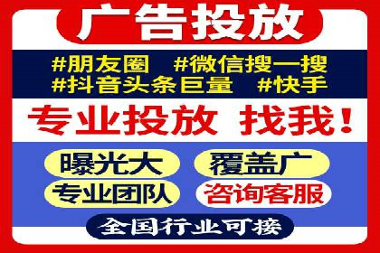 某知名品牌SEM运营策略及效果评估
